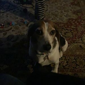 Meet your Posher, Edward